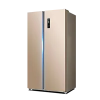 Refrigerator / Fridge Repair Dubai